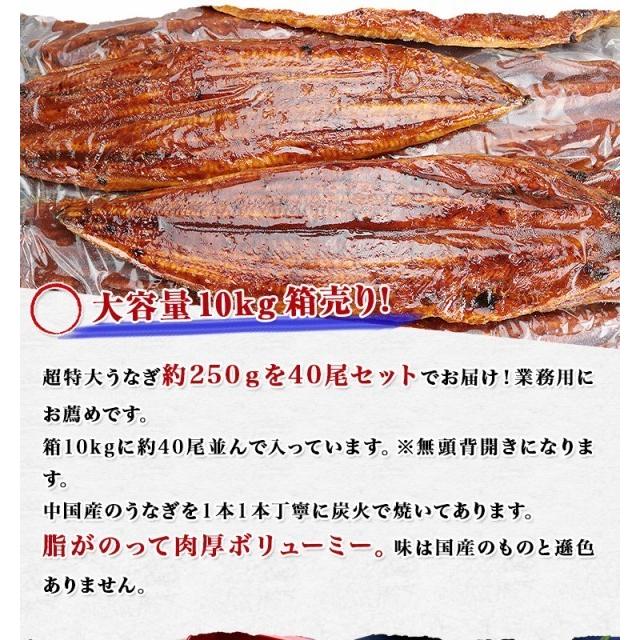 うなぎ 無頭背開き 特大約250g×40尾 10kg 業務用 送料無料 冷凍便 鰻 かば焼き お取り寄せ ギフト