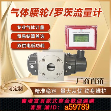【全網低價 可打統編】气体罗茨流量计腰轮天然气沼气燃气煤气智能贸易结算计量专用表