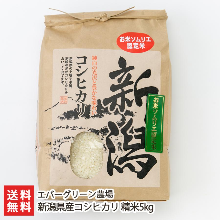 新潟県産コシヒカリ 精米5kg エバーグリーン農場 送料無料