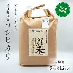 令和5年産 海と天地のめぐみ米（コシヒカリ） 白米5kg