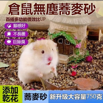 台灣出貨 生物酶蕎麥砂 倉鼠蕎麥砂 倉鼠墊料 除臭蕎麥砂 倉鼠蕎麥沙 黃金鼠墊料 蕎麥沙 花枝鼠 天竺鼠 倉鼠造景墊料