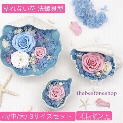 法螺貝型 プリザーブドフラワー 枯れない花 ギフト プレゼント キューブ 安い 誕生日プレゼント 結婚祝い 開業祝い 母の日 入学祝い 送別花 退職 卒業 記念 通販 Lineポイント最大get Lineショッピング