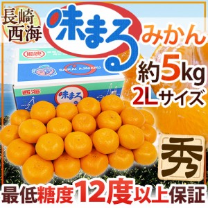 長崎 西海 ”味まるみかん” 秀品 2Lサイズ 約5kg 最低糖度12度保証 送料無料