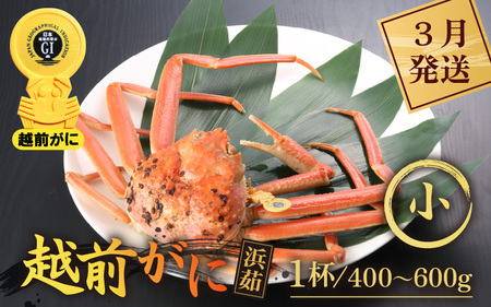 越前がに本場の越前町からお届け！ 越前がに 浜茹で 小サイズ（生で400～600g） × 1杯希望日指定可 備考欄にメールアドレスをご記入ください [e43-x005_03]