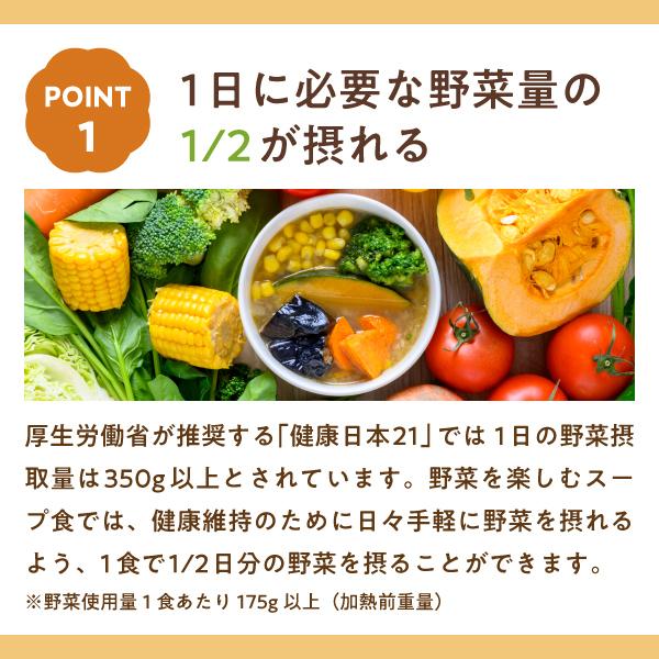 ＼ レビュー プレゼント あり ／野菜を楽しむスープ食 2人用（8食Bセット×2）