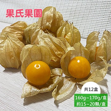 【果氏果園】預購 彰化日本品種鮮採黃金莓x12盒(約160~170g/盒_約15~20顆/盒_燈籠果_產地直送)下訂後9個工作天內出貨
