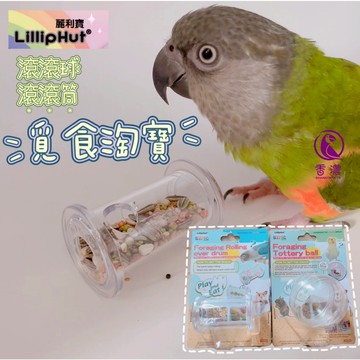 香濃❤LillipHut 麗利寶  覓食淘寶球 覓食淘寶線軸盒 小寵鸚鵡 倉鼠 龍貓益智玩具 覓食淘寶抽拉盒