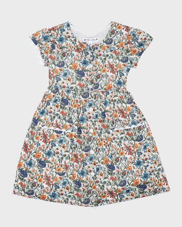 Girl's Emma Dainty Floral-Print Dress, Size 2-6
