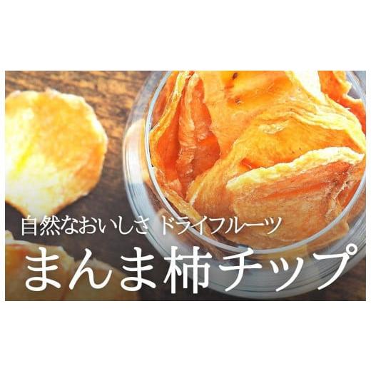 ふるさと納税 和歌山県 有田川町 ドライフルーツ 柿チップ 1kg 50g × 20袋 和歌山県産 果物使用 自社製造 