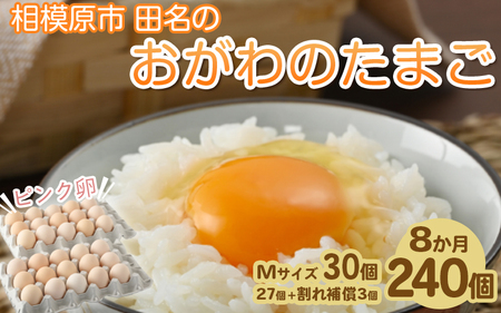 相模原市田名のおがわのたまご　ピンク卵 Mサイズ 30個(27個＋割れ補償3個)×8か月 卵 鶏卵 玉子 たまご 生卵 国産 濃厚 コク 旨味 旨み