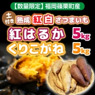 YX003 （土付き）福岡篠栗町産の熟成紅白さつまいも「紅はるか」５kg「くりこがね」５kgセット 2023年10月中旬より順次発送