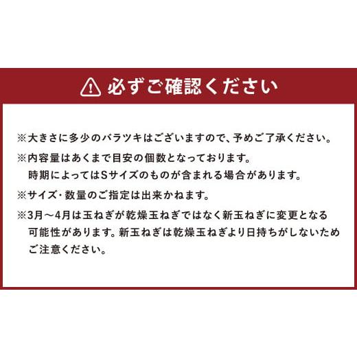 ふるさと納税 長崎県 時津町 定番野菜セット定期便 どっさり！約10kg×6回コース じゃがいも 玉ねぎ にんじん かぼちゃ