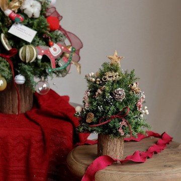 【遇見恆久】聖誕微光日本進口永生不凋雪松聖誕樹