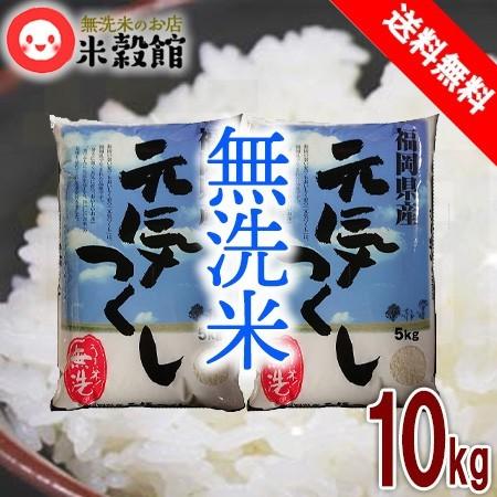 10kg 無洗米 福岡の新しいお米「元気つくし」5kg×2 送料無料 一般米※