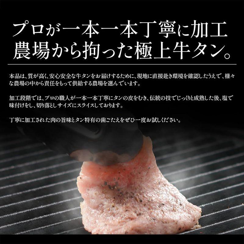 港ダイニングしおそう 牛タン切り落とし 1kg 味付き 霜降り牛タン タン元 牛タン 牛たん タン 牛肉 牛肉切り落とし 焼肉 自分用 ご褒