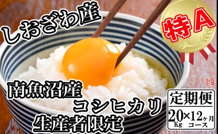 生産者限定 契約栽培 南魚沼しおざわ産コシヒカリ