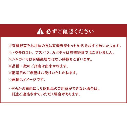 ふるさと納税 北海道 北広島市 おまかせ旬野菜セット 旬 野菜 セット 北海道 北広島市