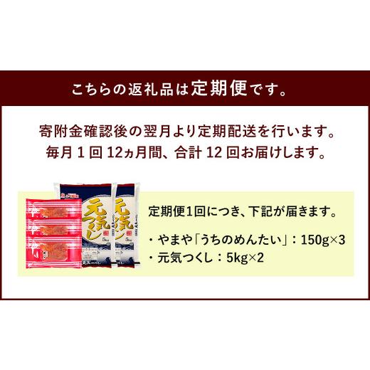 ふるさと納税 福岡県 太宰府市 やまや の 訳あり 明太切子 450gと お米