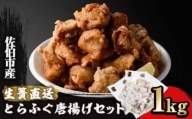 とらふぐ 唐揚げ セット (合計約1kg・ぶつ切り400g×1Ｐ 唐揚げ用300g×2P ヒレ10g)  