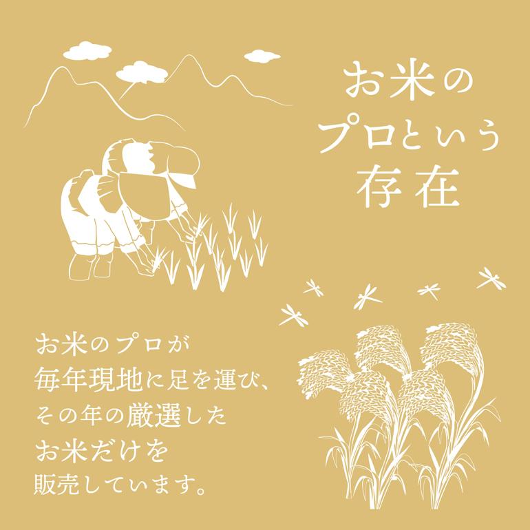 コシヒカリ 米 5kg 白米 送料無料 富山県黒部産 令和5年 一宮精米 米