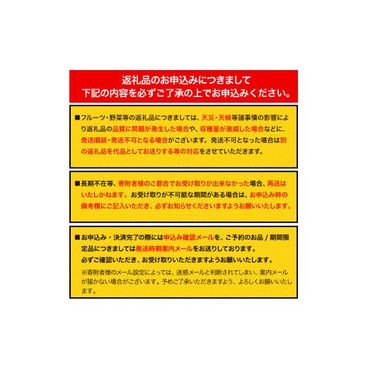 ふるさと納税 和歌山県 紀の川市 和歌山県紀の川市産 の豊水梨 約4kg （約9玉〜13玉）紀の川市厳選館 《2024年8月中旬-9月上旬…