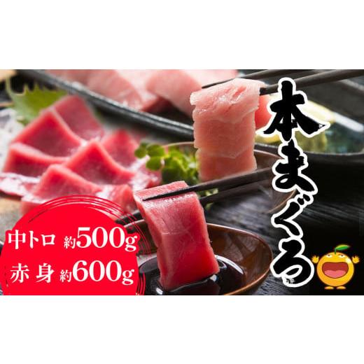 ふるさと納税 大分県 津久見市 本マグロ まぐろ 中トロ 約500g・赤身 約600gセット 鮪 海鮮丼 刺し身 刺身 盛り合わせ 冷凍 魚の刺身 大分県産 九州産 津久見…