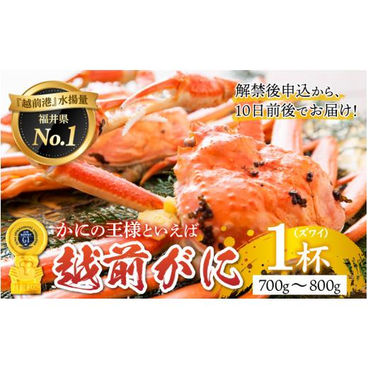 ふるさと納税 福井県 鯖江市 福井冬の味覚！越前がに 1杯  700〜800g   [H-00912]