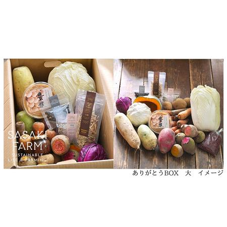 ふるさと納税 〈自然栽培〉佐々木ファーム　旬の野菜詰め合わせ　〜ありがとうBOX 2023・大〜　やさい　直送　北海道　洞爺湖町 北海道洞爺湖町