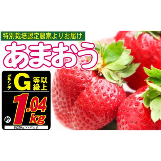 ふるさと納税 福岡県 朝倉市 あまおう G以上 約1.04kg 約260g×4パック ※配送不可：北海道・東北・沖縄・離島