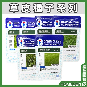 【隔日到貨】草皮種子系列 類地毯草 馬蹄金 假儉草 耐踐踏草種 庭院綠化 草坪 園藝用品【HOMEDEN霍登園藝】