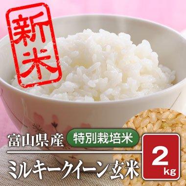 富山県産 特別栽培米 ミルキークィーン(令和4年) 2kg