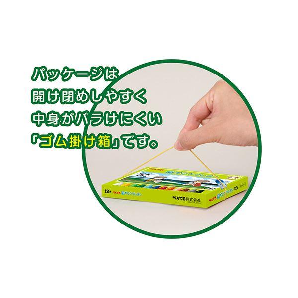 (まとめ) ぺんてる ずこうクレヨン 極太 12色PTCG1-12 1セット 〔×30セット〕