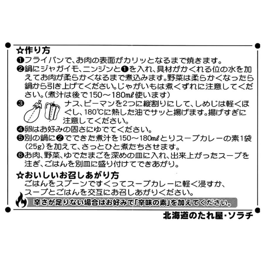 札幌スープカレーの素 スープカレーの素 辛味の素付き 20食分 セット （スープカレーの素5P×4、辛味の素5P×4） スープカレー 北海道 メール便 送料無料