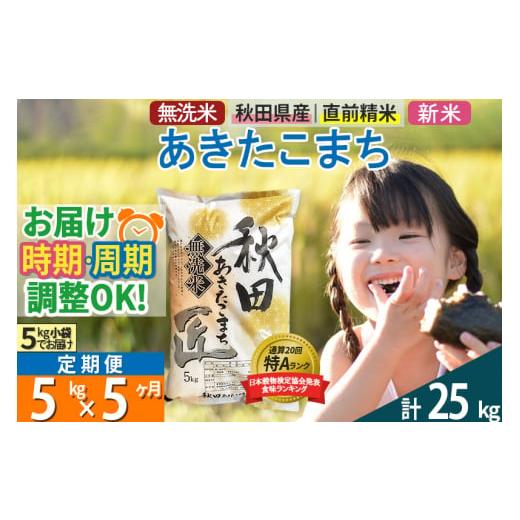 ふるさと納税 秋田県 仙北市 ＜新米＞《定期便5ヶ月》秋田県産 あきたこまち 5kg (5kg×1袋) ×5回 令和5年産 発送時期が選べる 周期調整OK 隔月配…