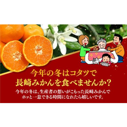 ふるさと納税 長崎県 長与町 みかん 約 10kg（100〜120個）  ／ 長与町 ＜長崎西彼農業協同組合 長与支店＞ [EAH003] 温州みかん みかん10kg 温州…