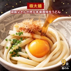 送料無料 讃岐生うどん9食セット(麺300g(3食)×3袋) 麺のみ [ﾒｰﾙ便] ポイント消化  お試し