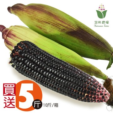 【慧軒農場】買5斤送5斤，黑寶水果玉米
