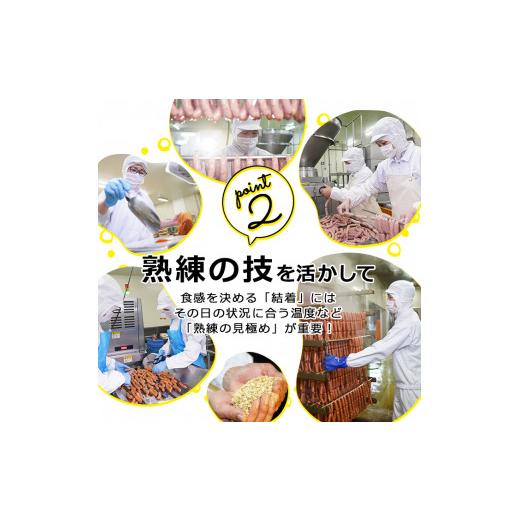 ふるさと納税 鹿児島県 志布志市 a0-152 合計3kg！どんどん使える！ポークウインナー(1kg×3袋)