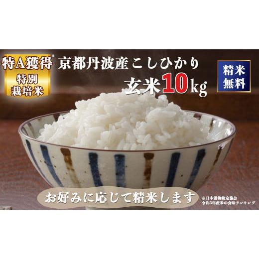 ふるさと納税 京都府 亀岡市 新米 令和5年産 京都 丹波産 こしひかり 玄米 10kg（5kg×2袋）≪5つ星お米マイスター 厳選 受注精米可≫※離島への配送不可(北海…