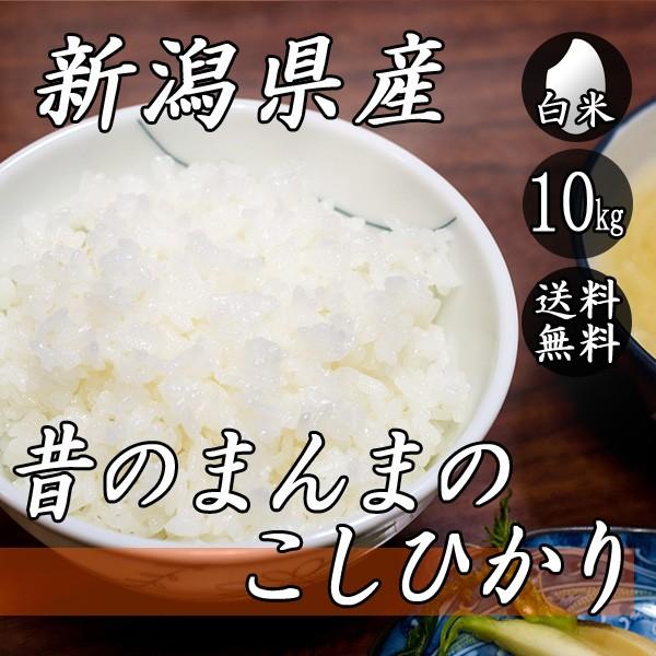 お米 10kg 新潟産 コシヒカリ 昔のまんまのコシヒカリ 5kg×2袋 送料無料 令和5年産 米 白米