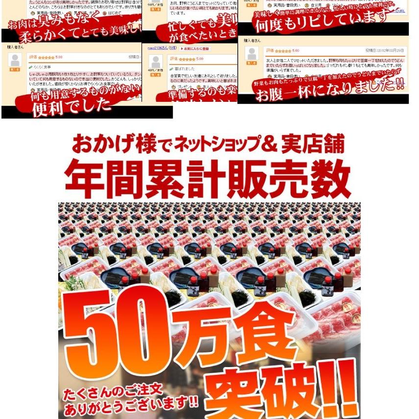 肉 しゃぶしゃぶ 2人前 野菜付き セット 鍋セット オリーブ豚 ロース ブランド豚 讃岐うどん グルメ お歳暮 ギフト 食品 プレゼント お祝い 新生活