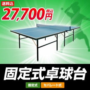 【特選品】卓球台 国際規格サイズ セパレート式 （固定式）【代引可能】(PB-2PG0019) | LINEブランドカタログ