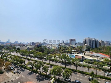 棋琴７重奏近高醫-Ｙ９黃線捷運站大2房｜高雄市三民區民族巷