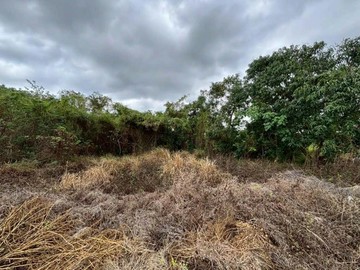 路竹聖母段城鄉發展儲備用地近星巴克農地23839｜高雄市路竹區聖母段