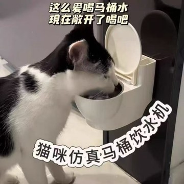 💗臺灣出貨💗【骗猫喝水】猫咪喝水神器悬挂式喝水碗不易打翻保护颈椎创意马桶