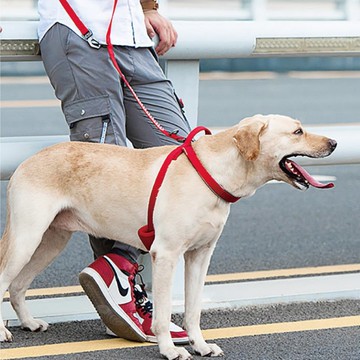 【DOGNESS多尼斯】反光系列寵物胸背帶(5色)