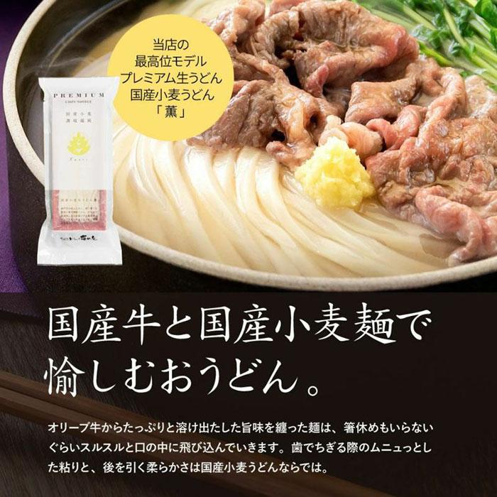 亀城庵 極上肉うどんセット 2食入 うどん 肉 そば 麺 讃岐 オリーブ牛 ブランド牛肉 父の日 母の日 お中元 お歳暮 ギフト