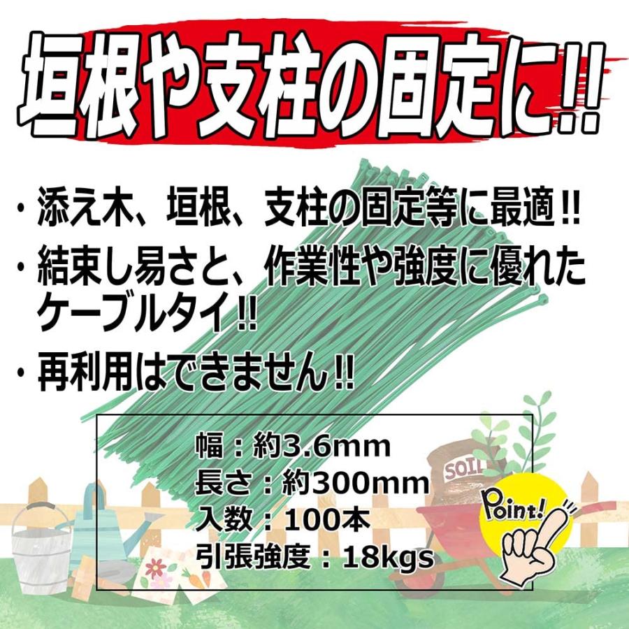 セフティー3 園芸用 誘引 結束 ガーデンバンド 長さ300mm 幅3.6mm 入 グリーン