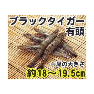 ブラックタイガーエビ 有頭 30尾 1.3kg 輸入 30匹 魚介類 海鮮 ブラックタイガー海老 えび BBQに 大容量 まとめ買い 業務用 [冷凍食品]