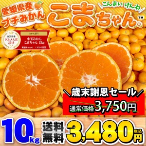 愛媛県産 小玉みかん こまちゃん 10kg 家庭用 送料無料 箱買い 蜜柑 温州 早生 南柑 20号 10キロ